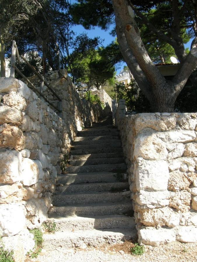 Apartments Boris Omiš Dış mekan fotoğraf
